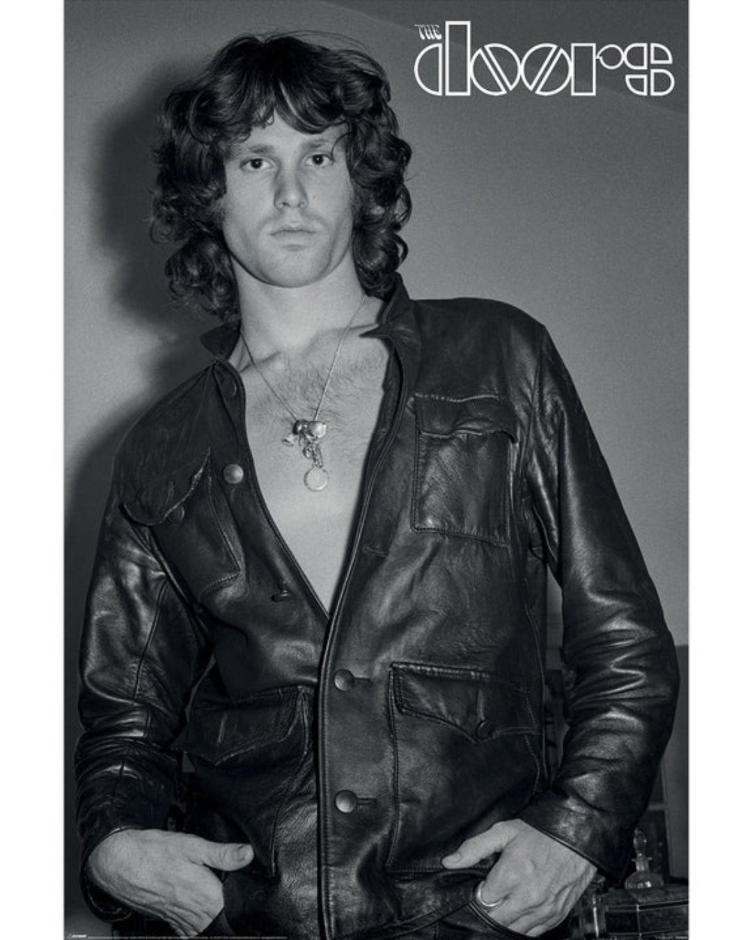 The Doors - Jim Morrison Poster