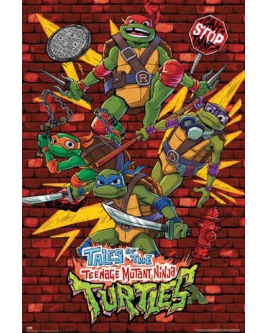 Teenage Mutant Ninja Turtles: Turtle Power (Maxi Poster)