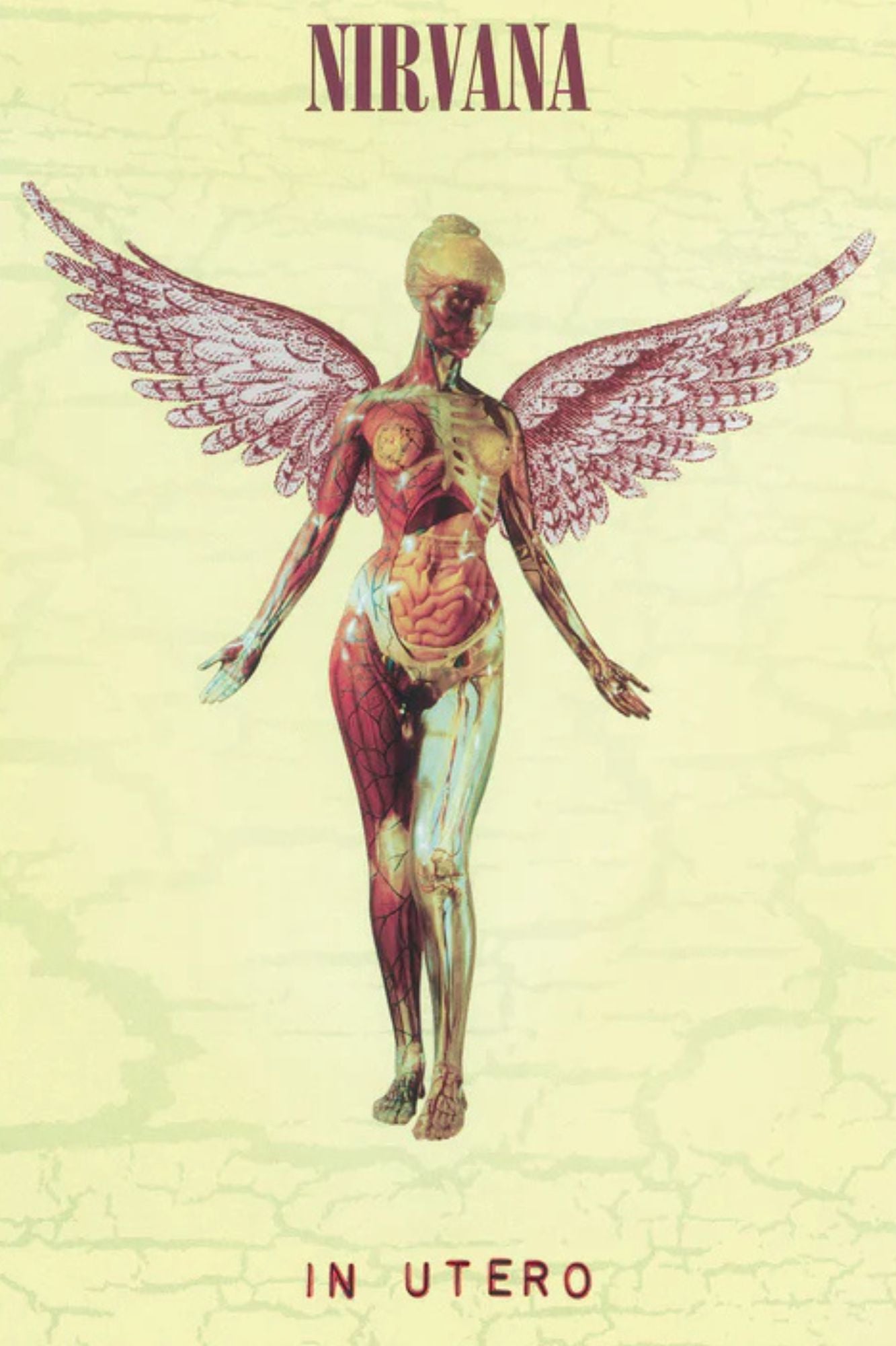 Nirvana In Utero