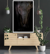 Dumbo by Branko Markovic 2021 Art Poster - Egoamo Posters - room mock up
