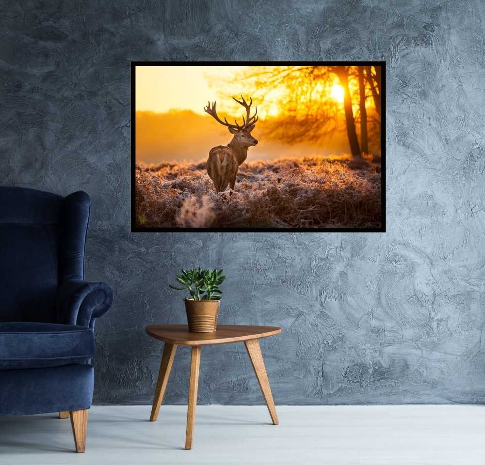 Golden Stag Poster - Egoamo.co.za Posters