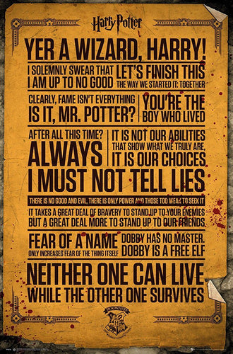 Harry Potter - Famous Quotes Poster Egoamo.co.za Posters 
