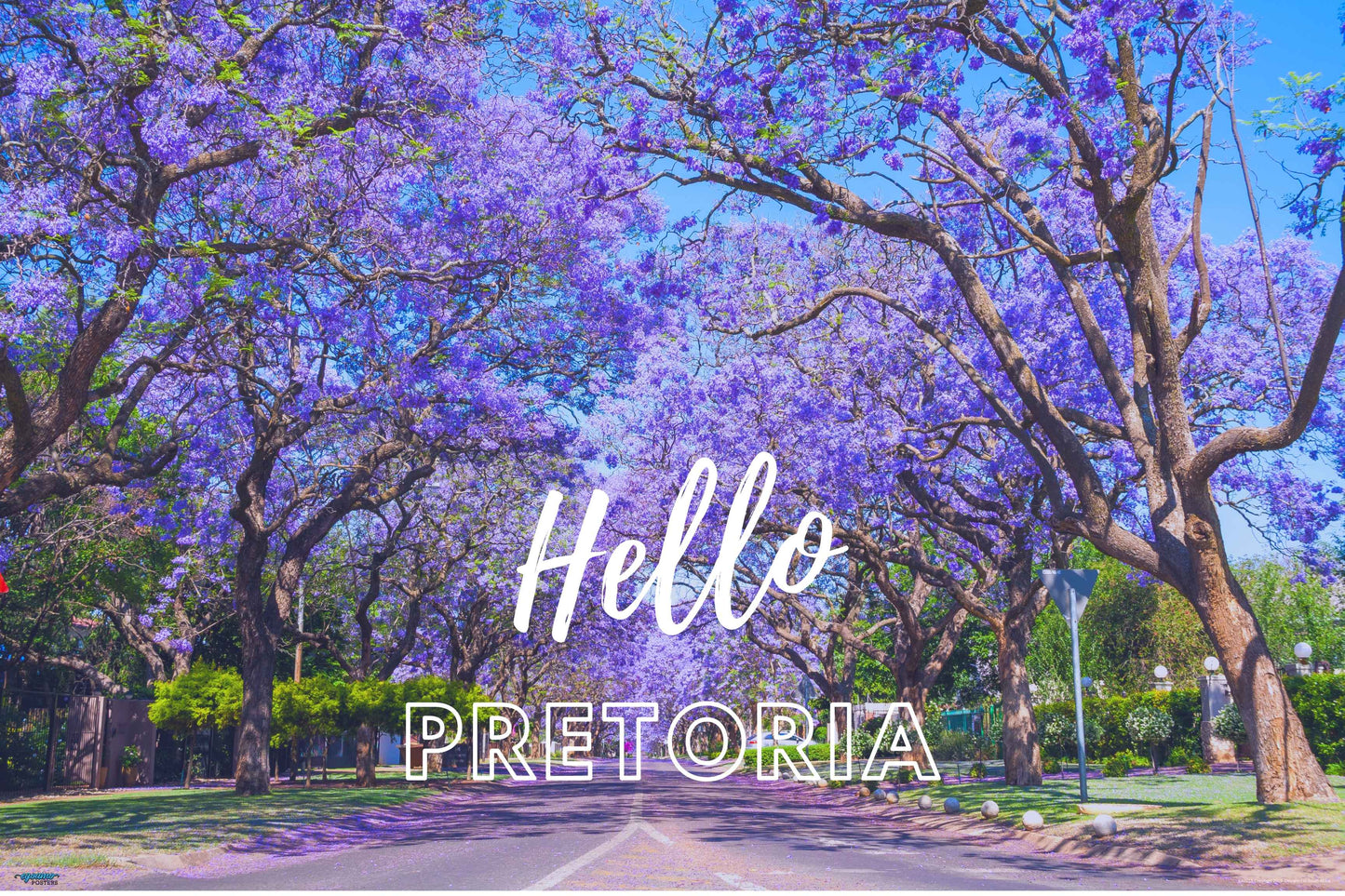 EgoAmo Original - Hello Pretoria Poster - egoamo.co.za