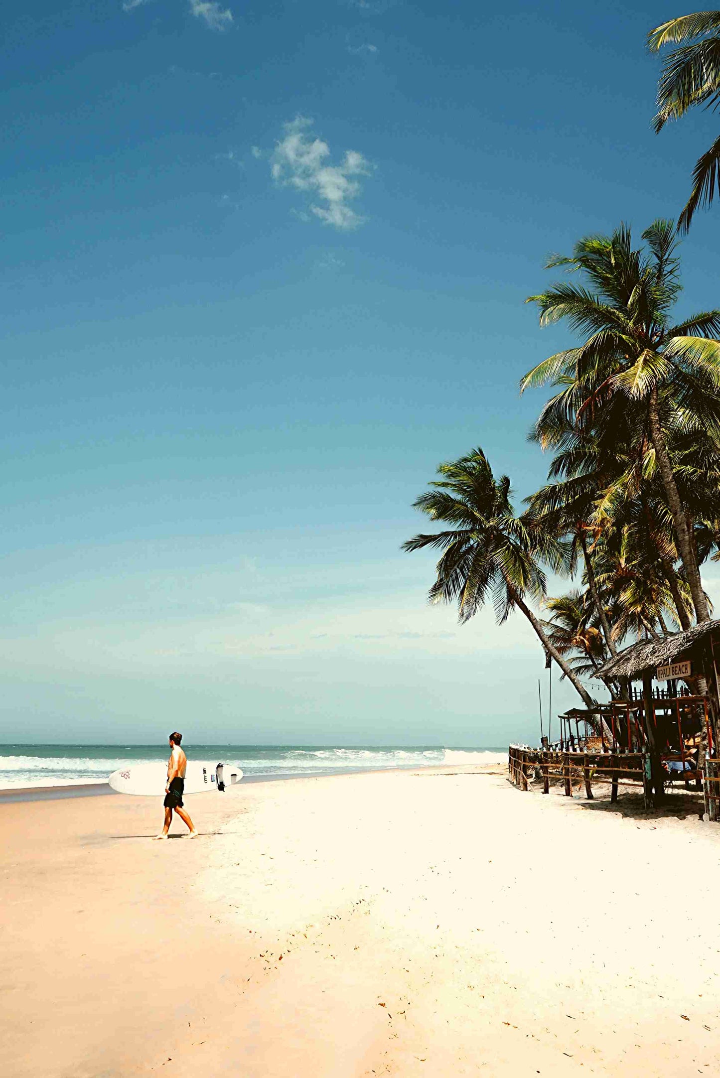 Surfing in paradise poster - egoamo.co.za