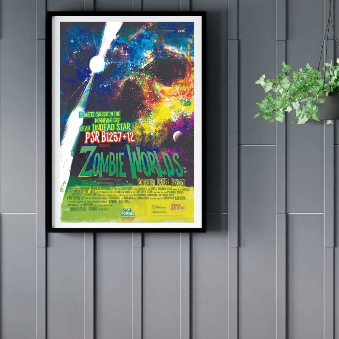 Nasa - Zombie Worlds Poster Egoamo.co.za Posters