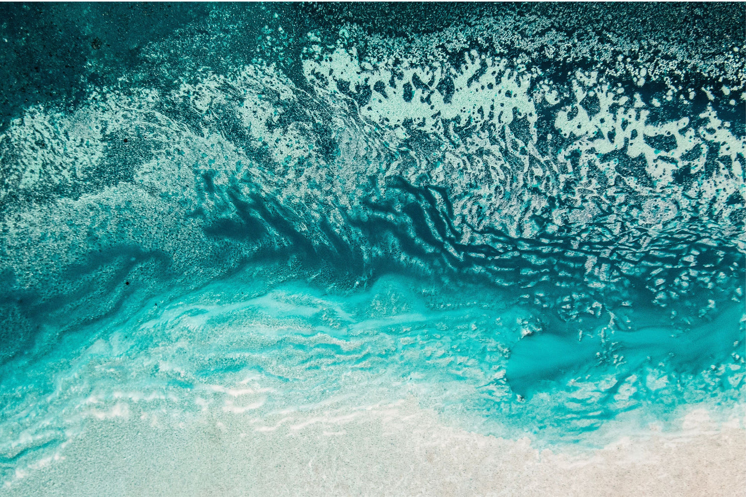 Petra Meikle de Vlas