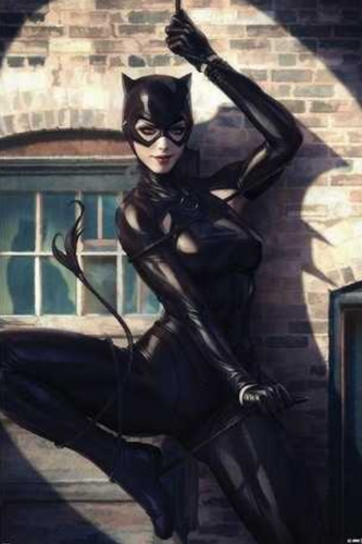 DC Comics - Catwoman Spotlight Poster