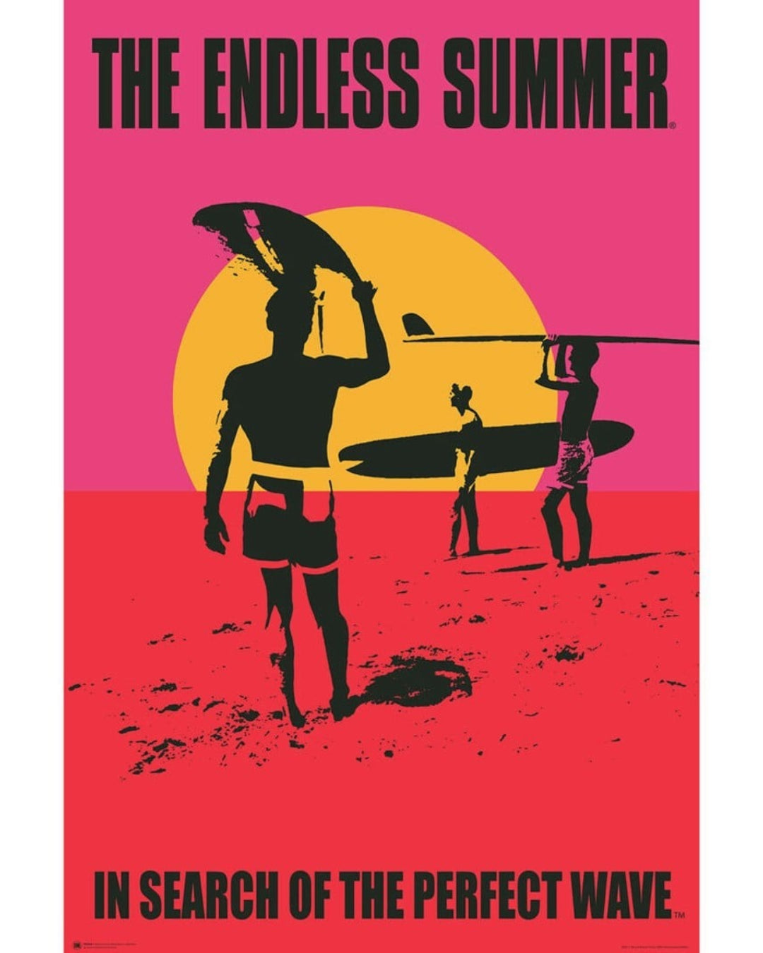 The Endless Summer - In Search Of The Perfect Wave