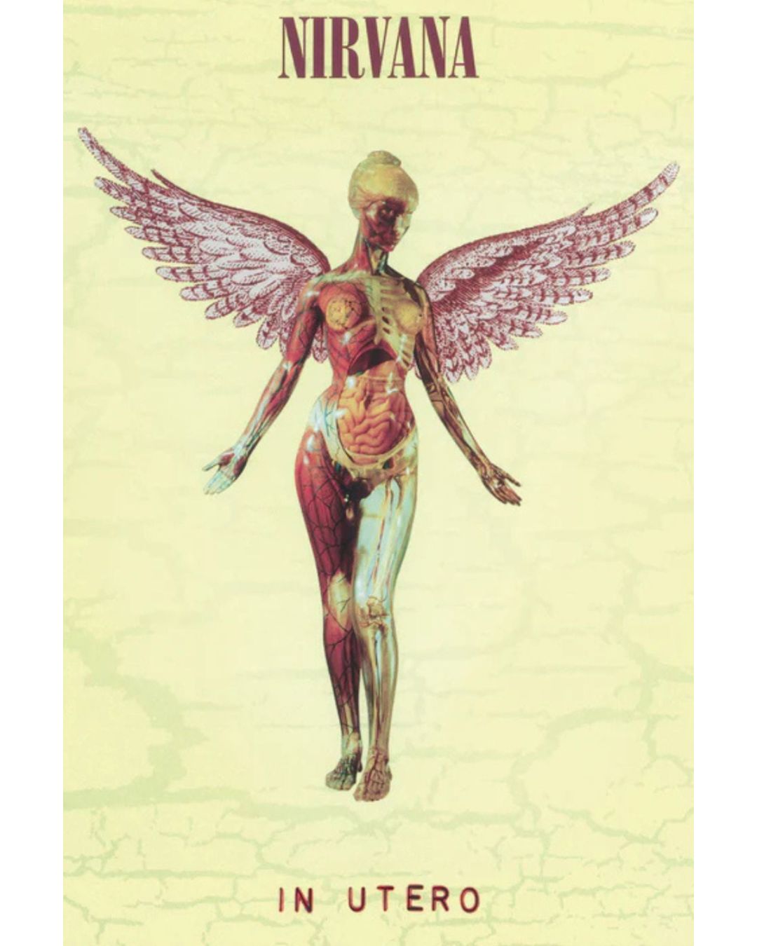Nirvana In Utero