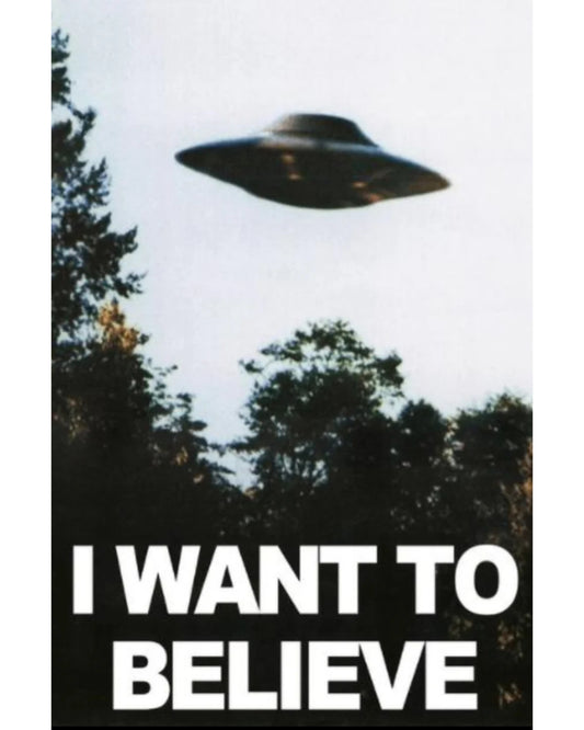 The X Files - I Want To Believe Poster