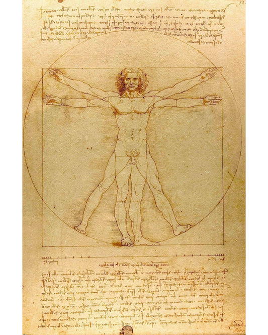 Vitruvian Man - Leonardo da Vinci poster