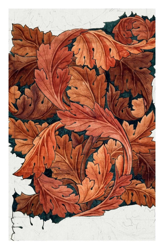 Acanthus (1879-1881) - egoamo posters 