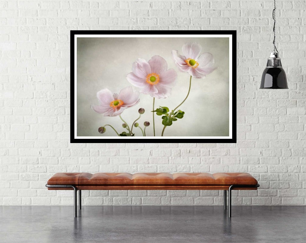 Anemones - room mockup - egoamo posters