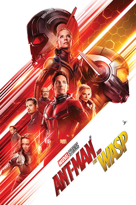 Ant-Man and The Wasp One Sheet Poster - egoamo.co.za