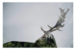 Antler Double Exposed Art Photography Poster - Egoamo Posters