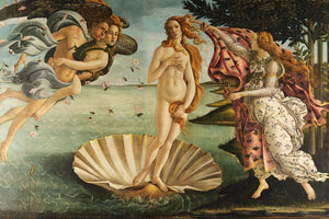 Botticeli - Birth of Venus poster - egoamo.co.za