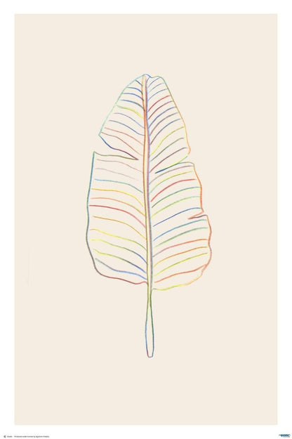 Banana Rainbow Leaf by Studio - Art Poster - egoamo.co.za