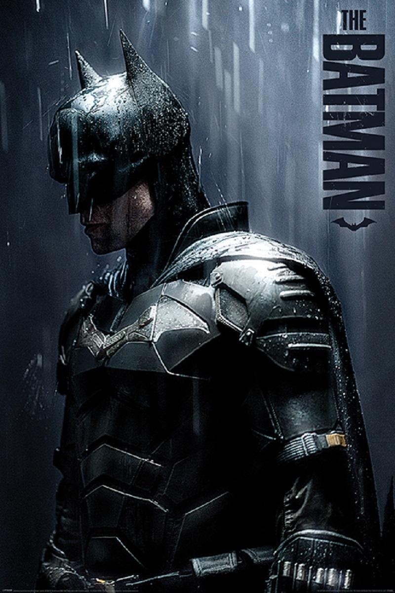 Batman - Downpour Poster Egoamo.co.za Posters