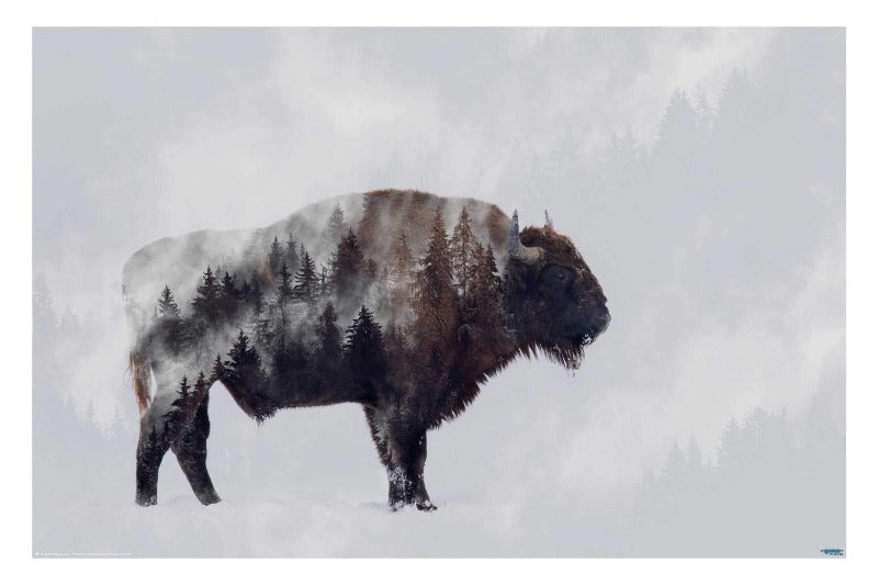Bison Double Exposed Art Photography Poster - Egoamo Posters