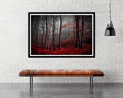 Bloody river by Samantha Krivec - Landscape Photography Poster - egoamo.co.za