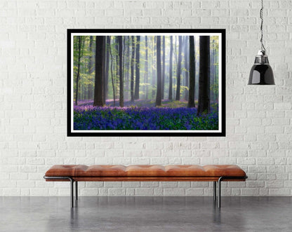 Bluebells - room mockup - egoamo posters