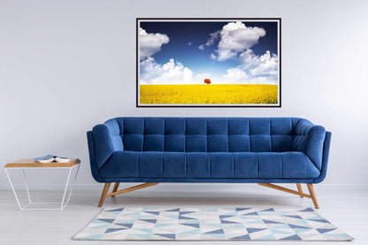 Canola Field - room mockup - egoamo posters