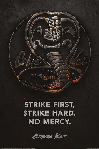 Cobra Kai - Metal Tv Series Poster Egoamo.co.za Posters 