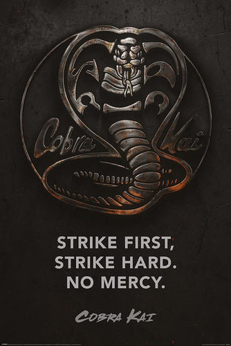 Cobra Kai - Metal Tv Series Poster Egoamo.co.za Posters 