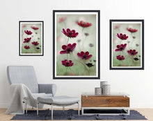 Cosmos Flowers Photography Poster - egoamo.co.za - poster size and room mockup