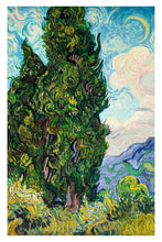 Cypress - egoamo posters