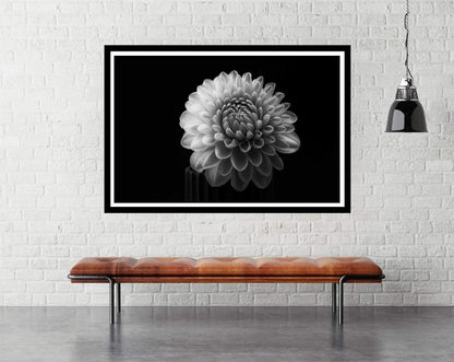 Dahlia - room mockup - egoamo posters