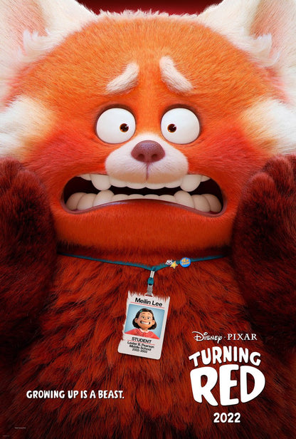 Disney: Turning Red Movie Poster - egoamo.co.za