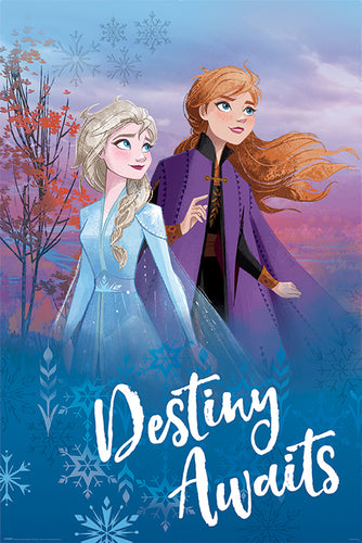 Disney's Frozen 2 - Destiny Awaits Poster - egoamo.co.za