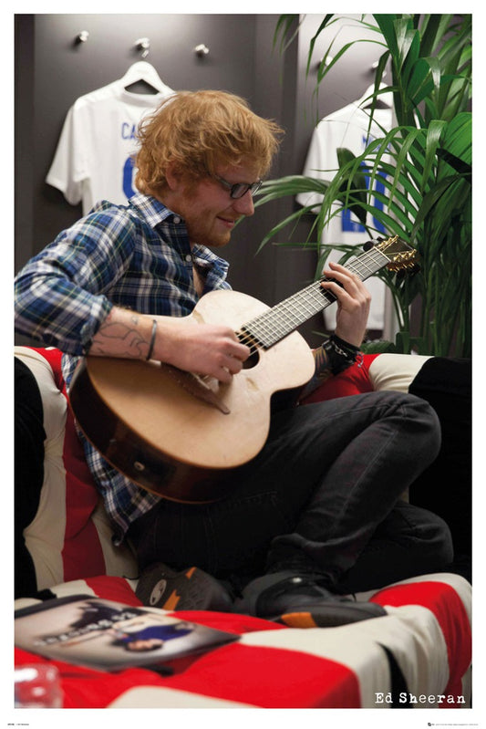 Ed Sheeran - Behind the Scenes at Wembly Poster - egoamo.co.za