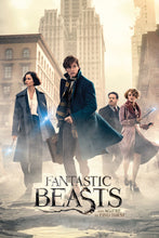 Fantastic Beasts And Where To Find Them Characters Poster - egoamo.co.za