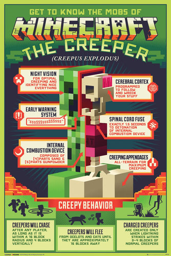 Minecraft - Creepy Behaviour Gaming Poster - egoamo.co.za