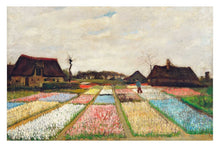 Flower Beds in Holland - egoamo posters