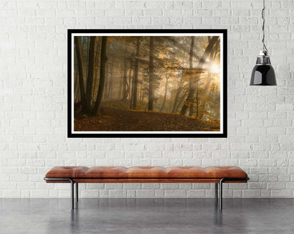 Forest Light - room mockup - egoamo posters