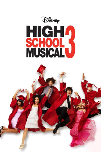 High School Musical 3 Movie Poster - egoamo posters