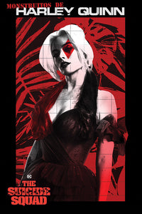 Harley Quinn - Red Dimond Poster egoamo.co.za Posters