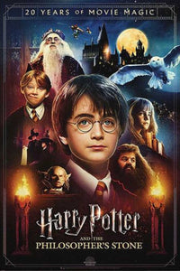 Harry Potter and the Philosophers Stone: Brown - 20th Anniversary Poster - egoamo.co.za