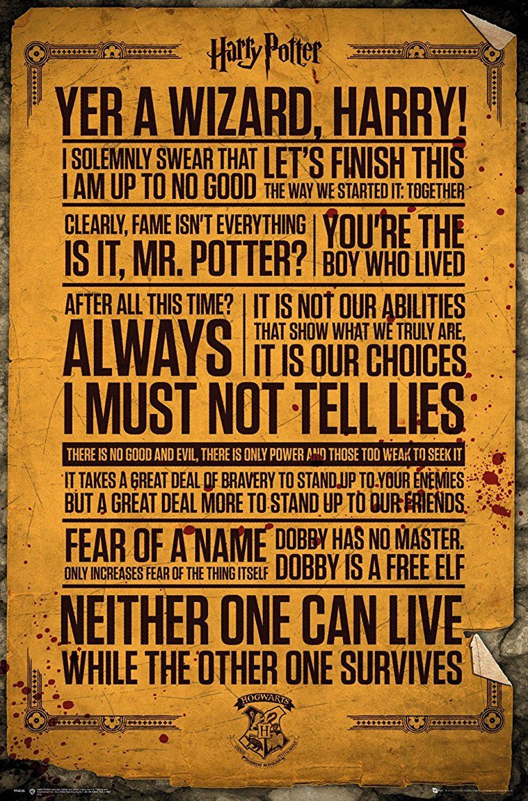 Harry Potter - Famous Quotes Poster Egoamo.co.za Posters 