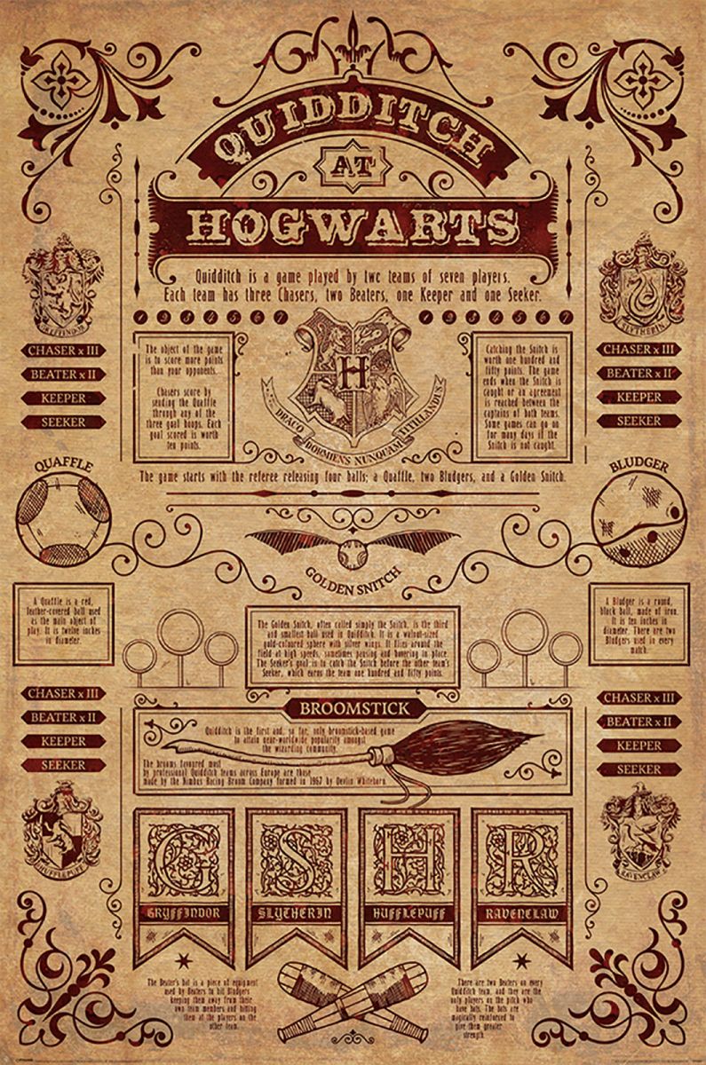 Harry Potter - Quidditch at Hogwards Poster Egoamo.co.za Posters