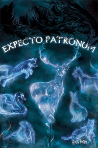Harry Potter Expecto Patronum Poster Egoamo.co.za Posters
