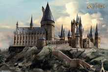 Harry Potter Hogwarts School Poster egoamo.co.za Posters