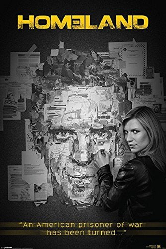 Homeland Poster - egoamo.co.za