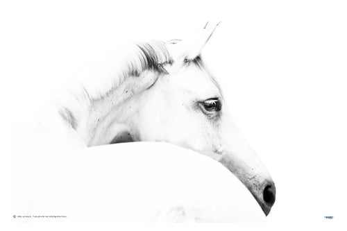 Horse and Minimalism - egoamo posters
