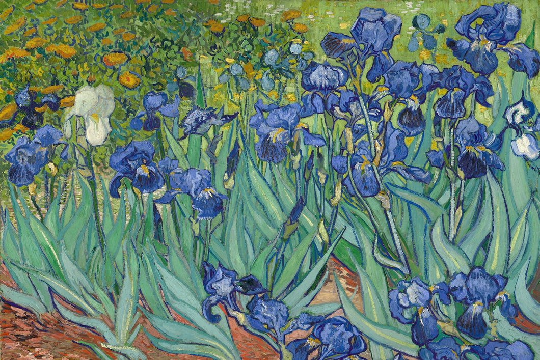 Vincent Van Gogh - Irises (1889) Poster - egoamo.co.za