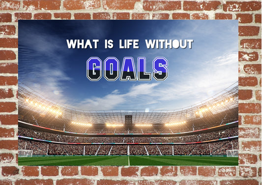 EgoAmo Original - What is life without goals - Poster - egoamo.co.za