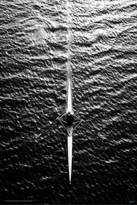 Lone Rower by Hardekopf - Sport Poster - egoamo.co.za